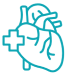 Cardiac Surgeons
