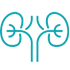 Nephrologists