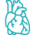 Paediatric Cardiologists